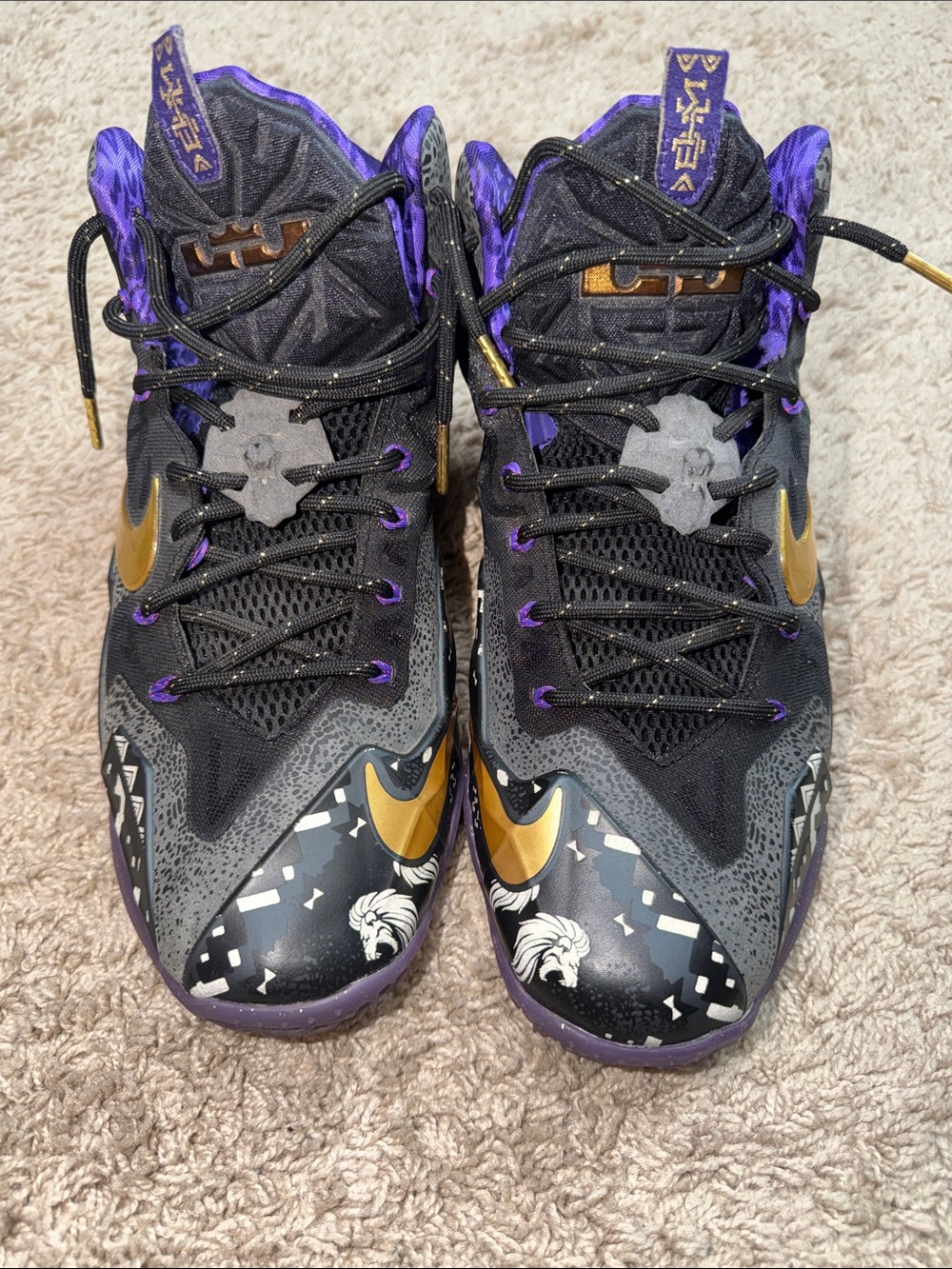 Nike LeBron Basketball Shoes - Black History Month with Box